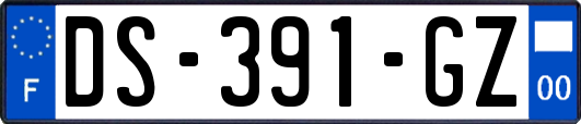 DS-391-GZ