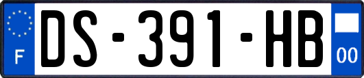DS-391-HB