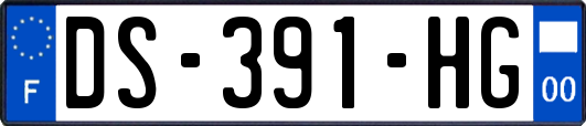 DS-391-HG