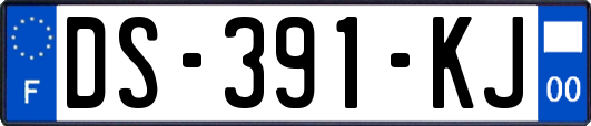 DS-391-KJ