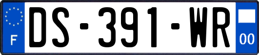 DS-391-WR