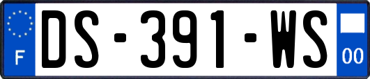 DS-391-WS
