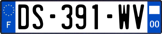 DS-391-WV