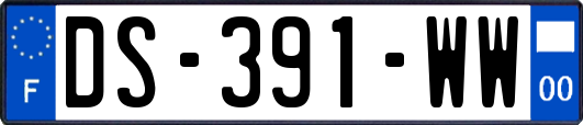 DS-391-WW