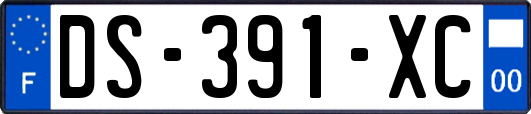 DS-391-XC