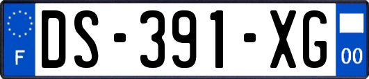 DS-391-XG