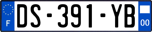 DS-391-YB