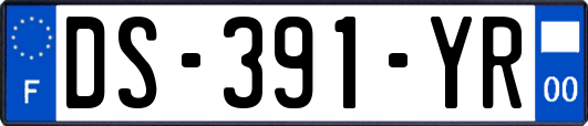 DS-391-YR