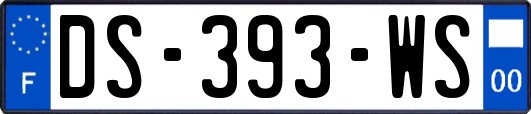 DS-393-WS