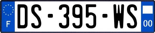 DS-395-WS