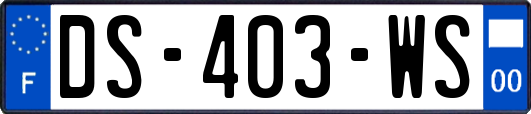 DS-403-WS
