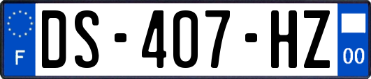 DS-407-HZ