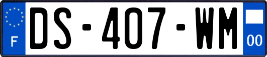 DS-407-WM