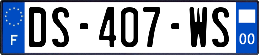 DS-407-WS