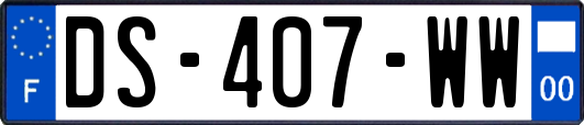 DS-407-WW