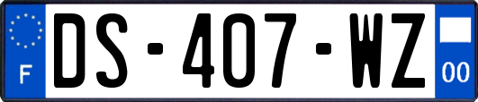 DS-407-WZ
