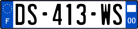 DS-413-WS