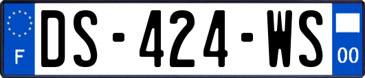 DS-424-WS