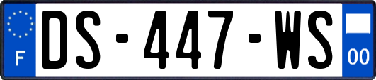 DS-447-WS