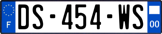 DS-454-WS