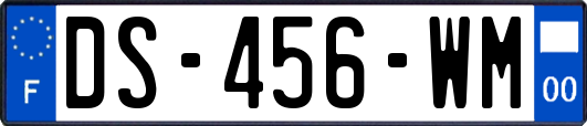 DS-456-WM