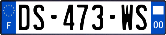 DS-473-WS