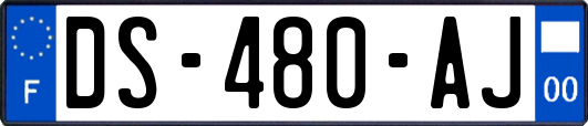 DS-480-AJ