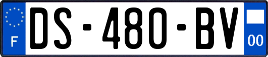 DS-480-BV