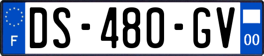 DS-480-GV