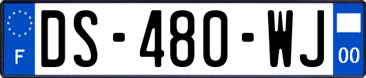DS-480-WJ