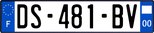 DS-481-BV