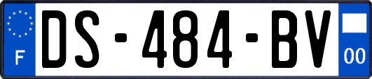 DS-484-BV