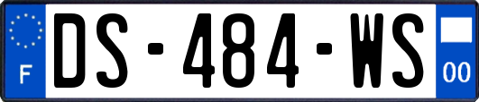 DS-484-WS