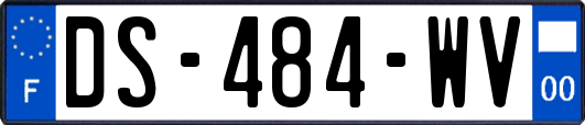 DS-484-WV
