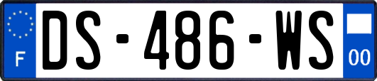 DS-486-WS