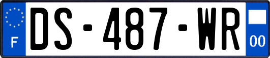 DS-487-WR