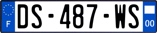 DS-487-WS