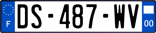 DS-487-WV