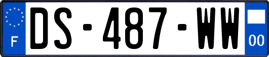 DS-487-WW