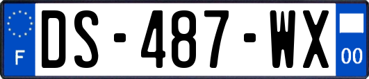 DS-487-WX