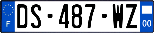 DS-487-WZ