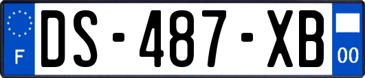 DS-487-XB