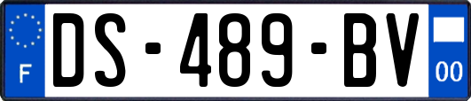 DS-489-BV