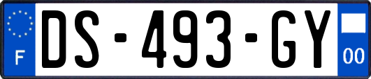 DS-493-GY