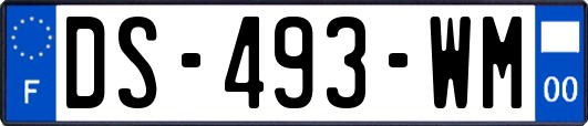 DS-493-WM