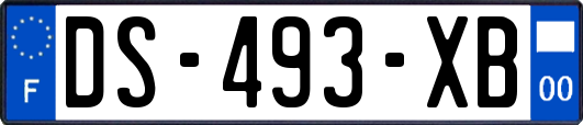 DS-493-XB