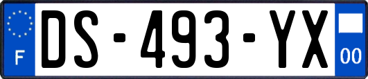 DS-493-YX