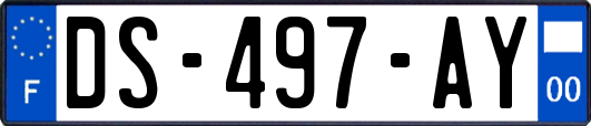 DS-497-AY