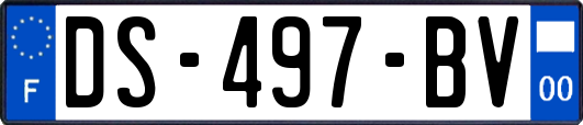 DS-497-BV