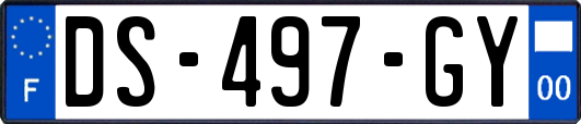 DS-497-GY